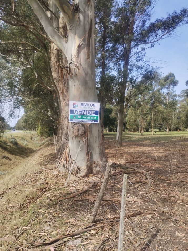 10.5  HECTAREAS ! IMPORTANTE FRACCION DE TIERRA SOBRE AVENIDA ATLANTIDA. PEGADO A HARAS DEL MAR