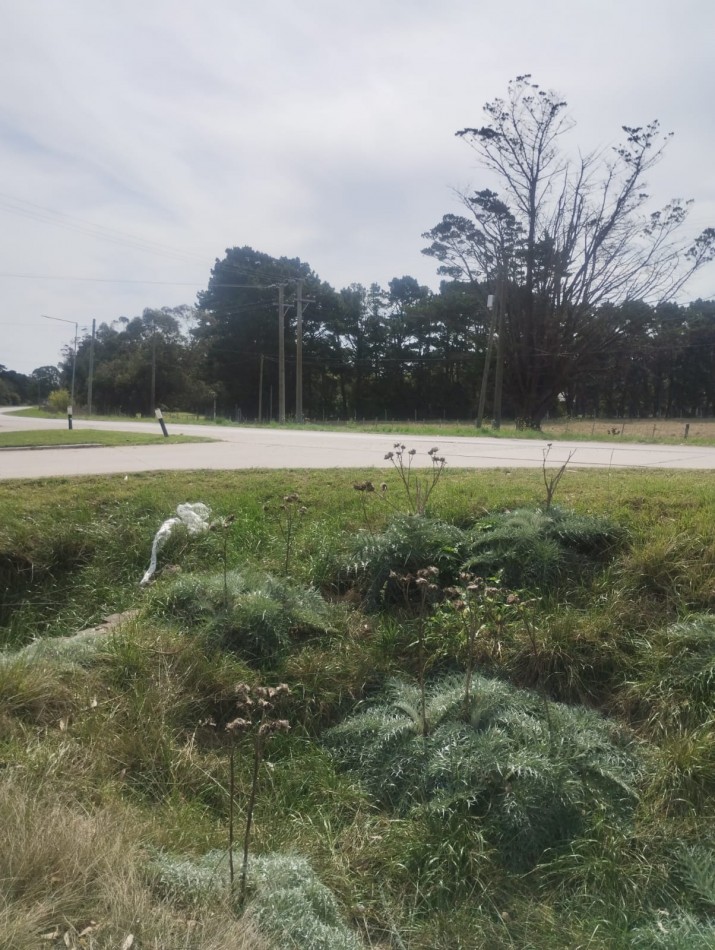 10.5  HECTAREAS ! IMPORTANTE FRACCION DE TIERRA SOBRE AVENIDA ATLANTIDA. PEGADO A HARAS DEL MAR