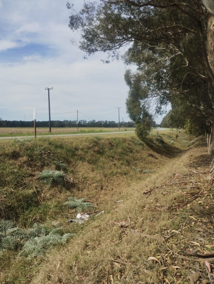 10.5  HECTAREAS ! IMPORTANTE FRACCION DE TIERRA SOBRE AVENIDA ATLANTIDA. PEGADO A HARAS DEL MAR