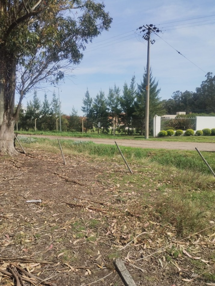 10.5  HECTAREAS ! IMPORTANTE FRACCION DE TIERRA SOBRE AVENIDA ATLANTIDA. PEGADO A HARAS DEL MAR