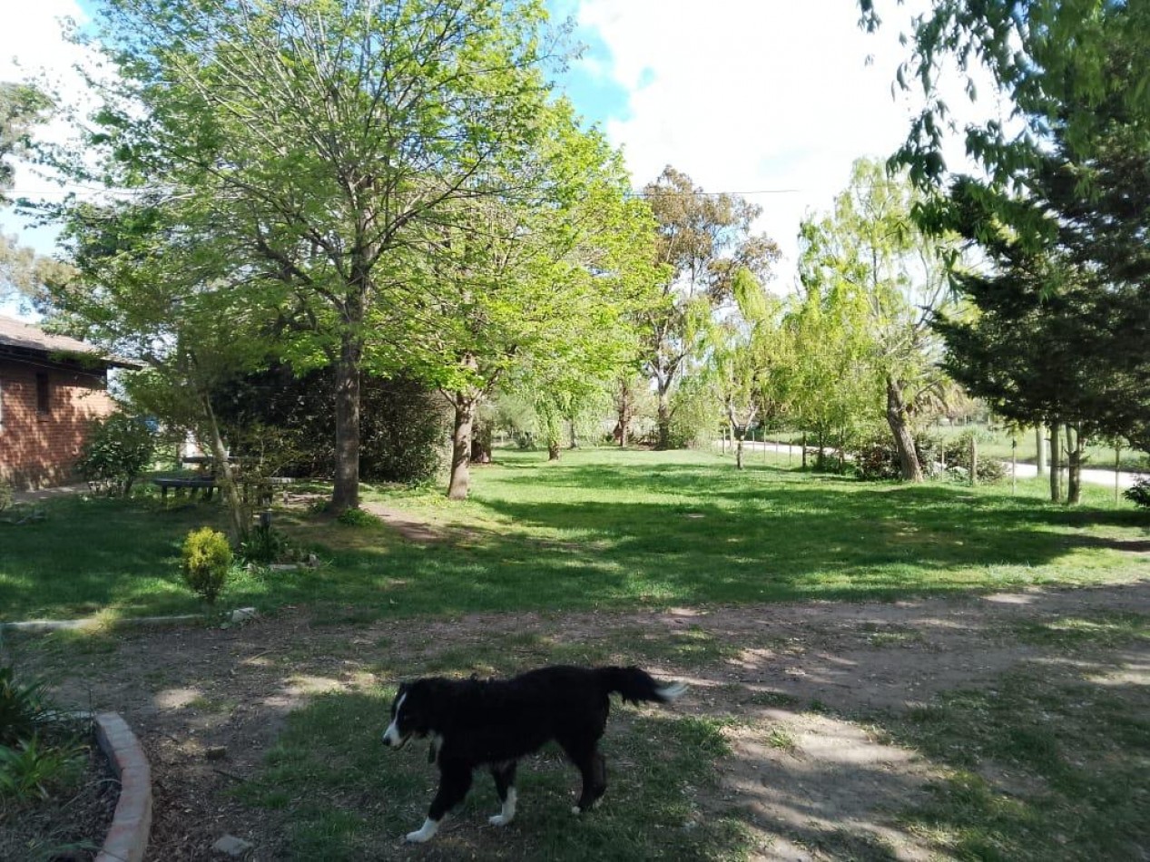 IMPORTANTE PREDIO CON IMPECABLE CHALET EN CORONEL VIDAL. IDEAL DESARROLLO TURISTICO. 5200 METROS CUADRADOS CERCANO A RUTA 2