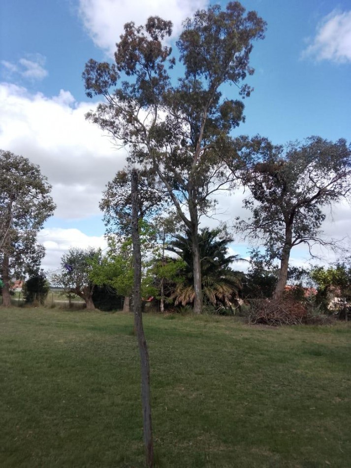 IMPORTANTE PREDIO CON IMPECABLE CHALET EN CORONEL VIDAL. IDEAL DESARROLLO TURISTICO. 5200 METROS CUADRADOS CERCANO A RUTA 2